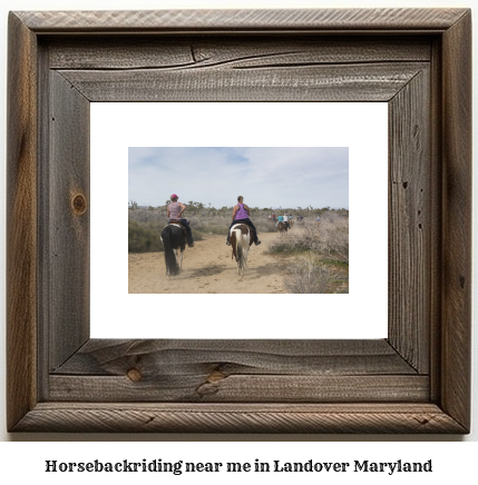 horseback riding near me in Landover, Maryland